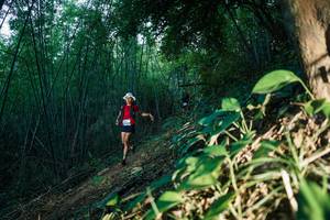 BIB: 
                            <button type="button" onclick="openModal(28123521)" class="btn btn-primary btn-sm float-right btn-popup" data-toggle="modal" data-target=".modal-high-quality">
                        <i class="fas fa-shopping-cart"></i> Add to Cart
                    </button>
                                            <button type="button" onclick="isThisMe(28123521, true)" class="btn btn-success btn-sm float-right btn-popup btn-isme hidden" data-toggle="tooltip" data-placement="bottom" title="นี่คือรูปของคุณใช่ไหม คลิกที่นี่เพื่อเอาเข้าอัลบั้ม">
                        <i class="fas fa-plus"></i> Add to album
                    </button>
                    <button type="button" onclick="isThisMe(28123521, false)" class="btn btn-warning btn-sm float-right btn-popup btn-isnotme hidden">
                        <i class="fas fa-ban"></i> Remove from album
                    </button>